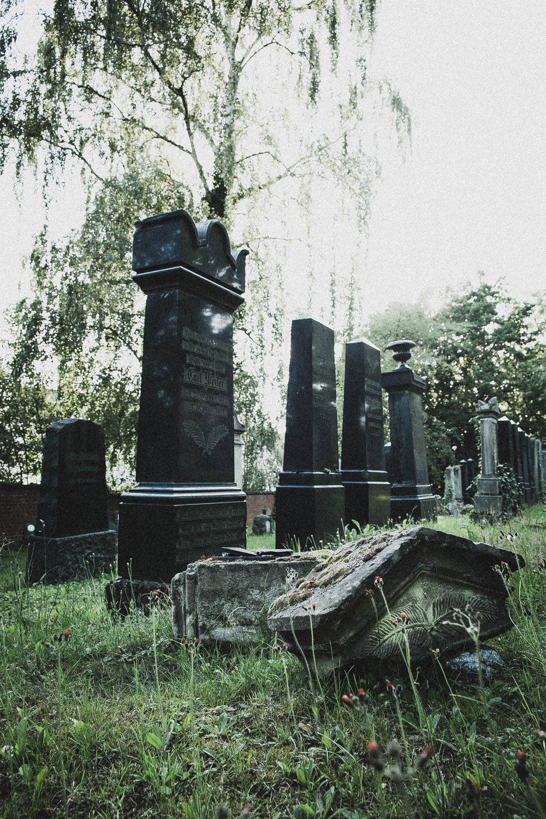 Jüdischer Friedhof Kassel-Bettenhausen